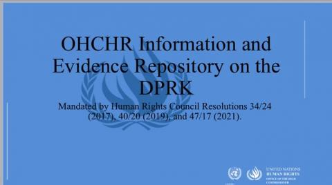 브리핑: OHCHR 정보 및 증거 저장소